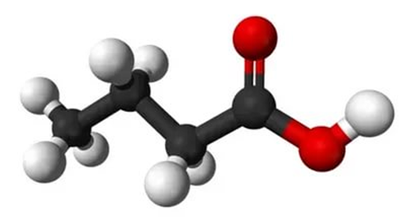 20 molekula maslyanoi kisloty
