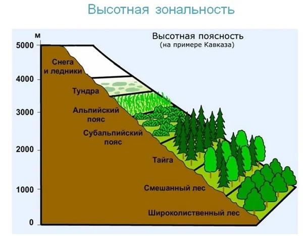 19 geograficheskaya obolochka