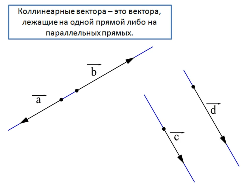 9 vectory