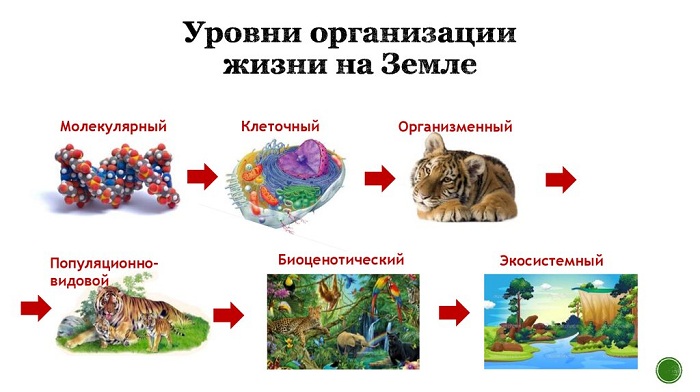 Явления природы в русском языке