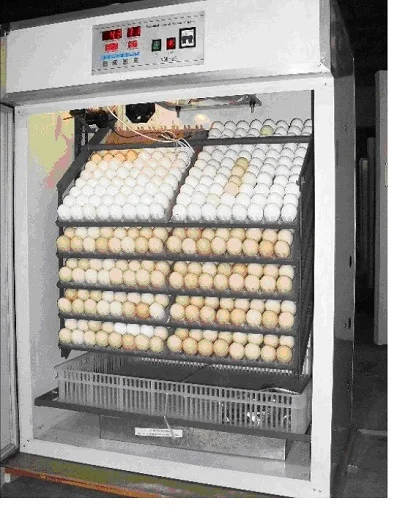 20 inkubator